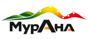 new logo and image with orange bunched